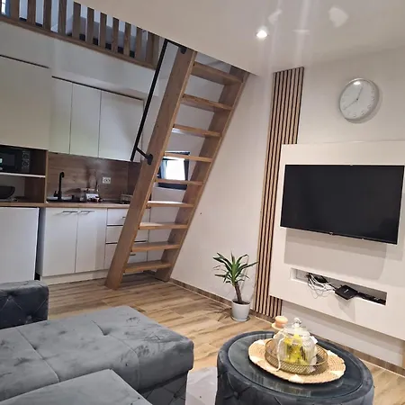 Oaza Mira 1 * Яйце